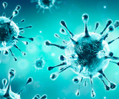 icon_riego_biologico